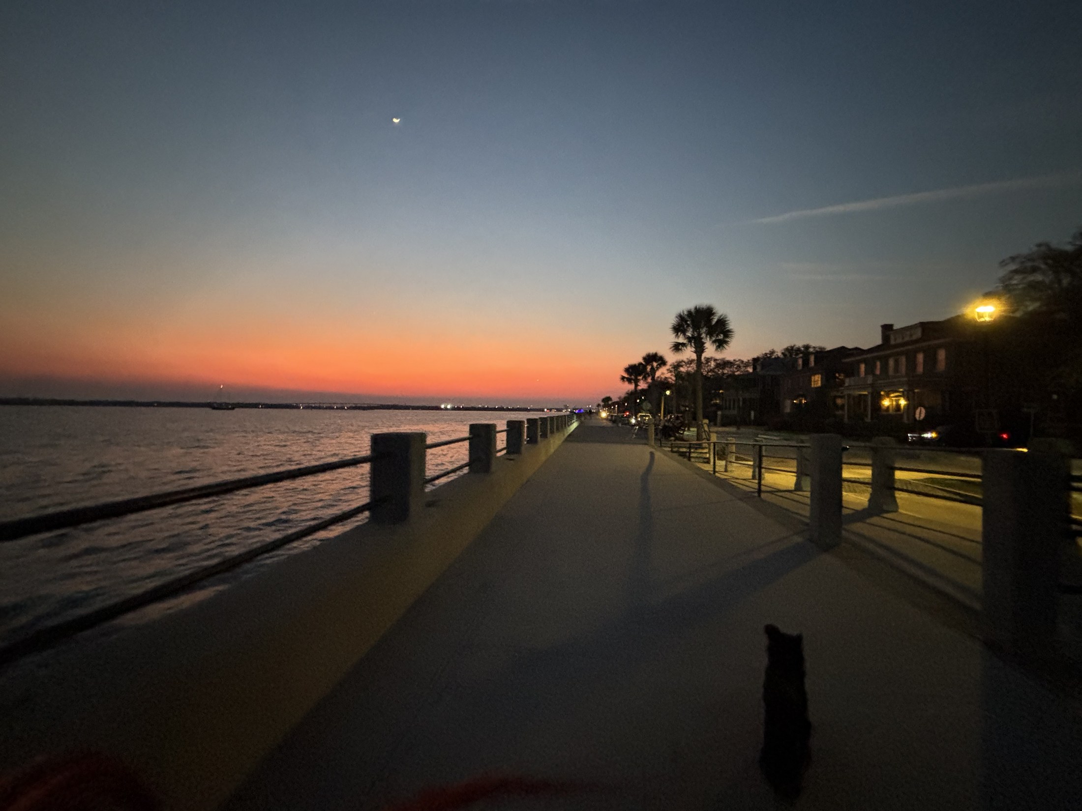 A beach access path opening onto the Folly Beach shoreline at dawn