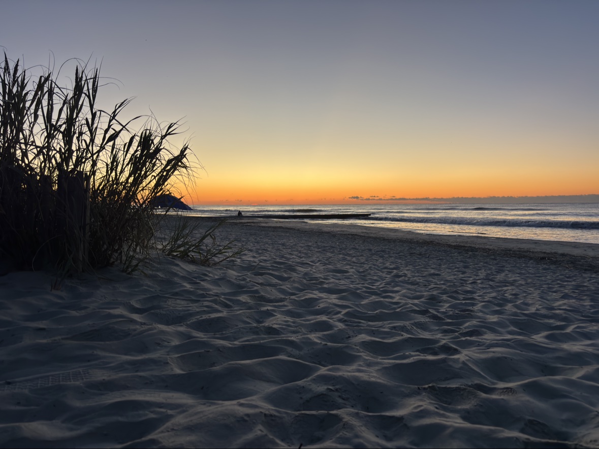 Sea oats and a rock groin silhouetted against a quiet orange and blue pre-dawn sky